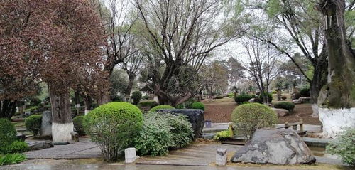 獨(dú)具南北園林特色兩千畝精品公園西安中園唐苑免費(fèi)開(kāi)放