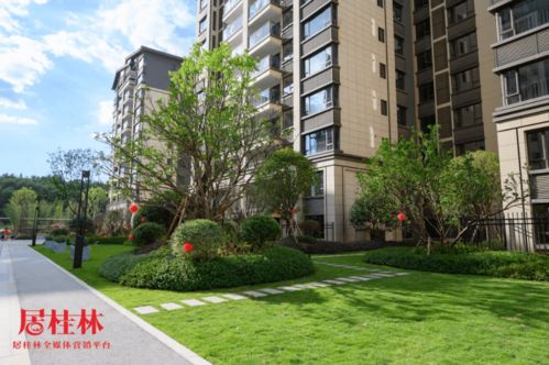 特殊時(shí)期,桂林這家房開(kāi)的表現(xiàn)沒(méi)讓人失望