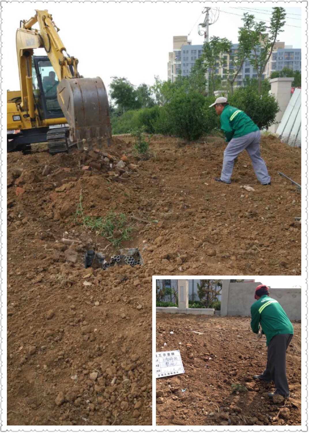 青島高新城維實業(yè)園林綠化公司2017年6月份第一.