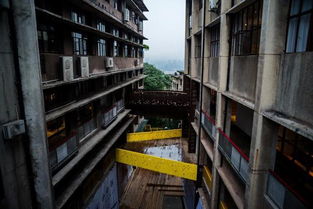 春節(jié)假期重慶三日游攻略 探索山城風(fēng)情與園林實(shí)業(yè)魅力