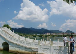 招商局 以園林實業構筑生態城市新圖景