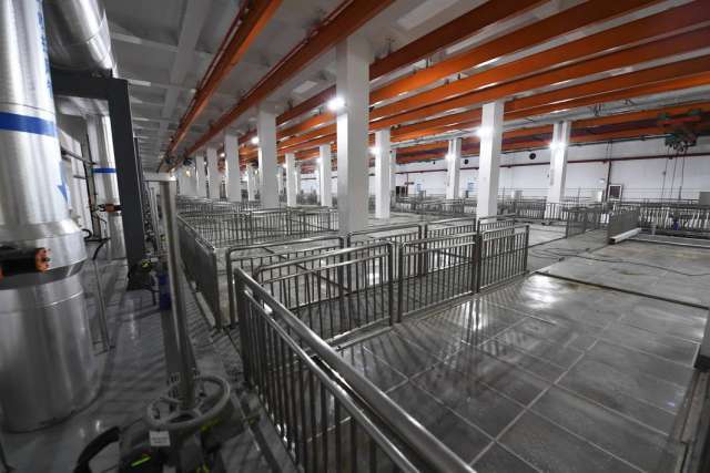 綠茵之下，匠心筑夢 一座公園的園林實業密碼